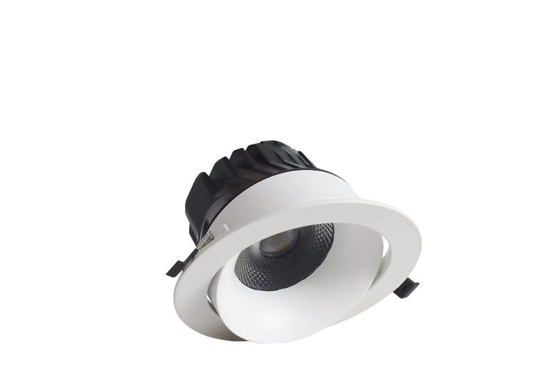 Shallow Recessed Adjustable Angle Spotlight