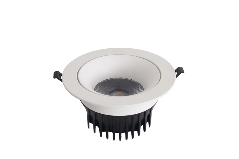 Shallow Recessed Adjustable Angle Spotlight