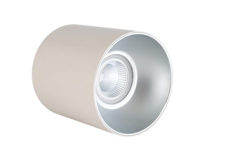 Surface Mounted Pendant Downlight