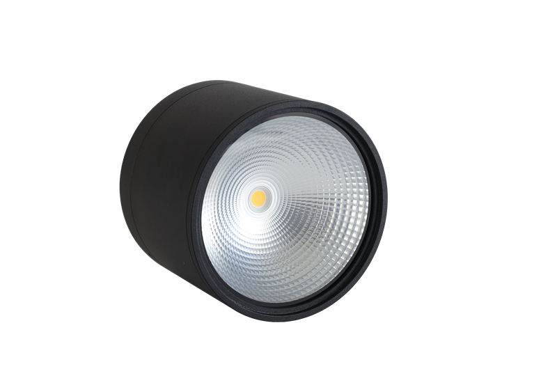 Surface Mounted Waterproof Downlight