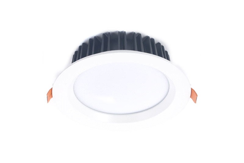 Recessed Waterproof Downlight